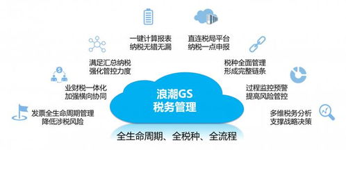 盤點5款好用的管理報表和經(jīng)營分析系統(tǒng)，覆蓋多場景需求，助力公共資源交易運行技術服務